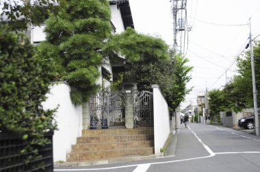 Banliyö evleri ve yeşil ağaçları olan güzel bir sokak manzarası.