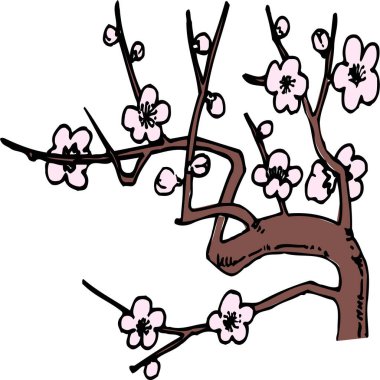 Beyaz arkaplanda sakura çiçekli illüstrasyon 