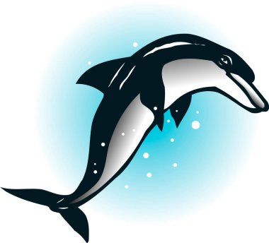  Yunus çizgi film karakteri çizimi