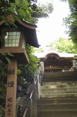 Canlı yapraklarla çevrili antik bir türbe.