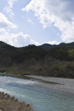 Dağlardaki ormanın ve nehrin güzel manzarası     