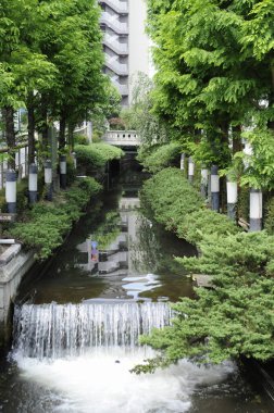 Şehirdeki şelale nehri 