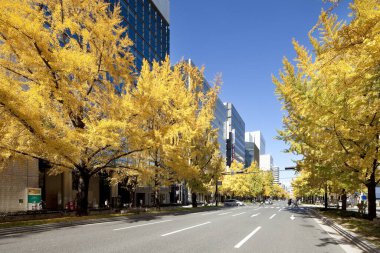 şehir mimarisi arka plan görüntüsü, modern şehir 