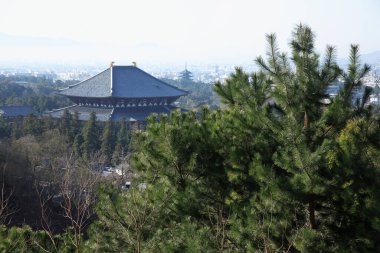 Antik Asya 'nın özünü yakalayan muhteşem bir tarihi tapınak. Huzur ve ilham arayanlar için sakin bir sığınak sunuyor..