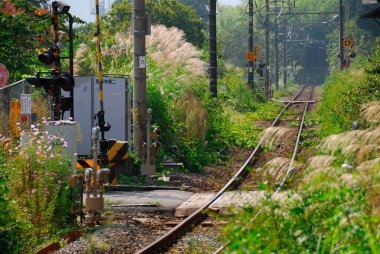 Tren istasyonu, tren yolu, raylar.