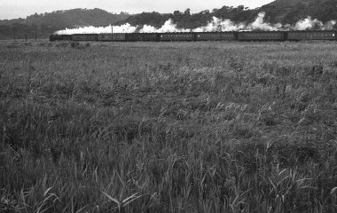 Japon Demiryollarının Gündüz Siyah ve Beyaz Çekimi