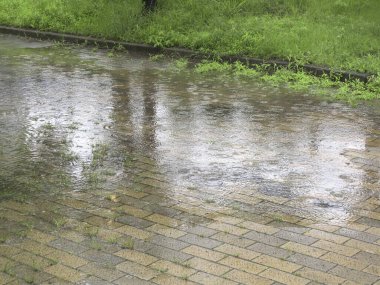 Bahar parkında ıslak patika ve yağmur