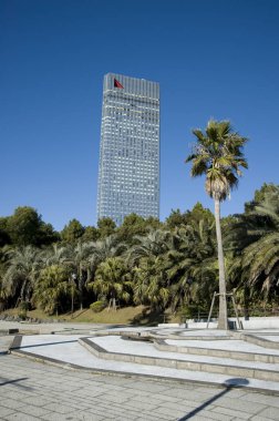 Çağdaş cam gökdelen yemyeşil palmiye ağaçlarının arkasında yükseliyor