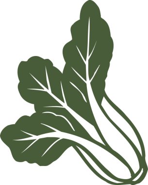 Beyaz arka planda yeşil lahana yaprakları.