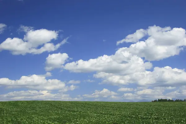 Hermoso Paisaje Con Campo Verde Cielo Azul Con Nubes — Foto de Stock
