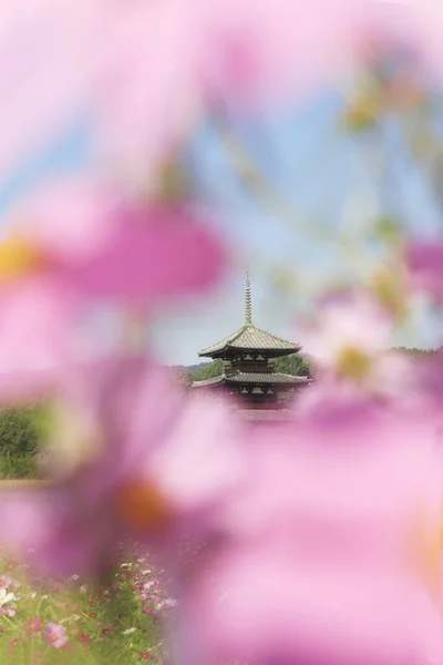 Kozmos Çiçeklerinin Hokiji Tapınağının Güzel Manzarası — Stok fotoğraf