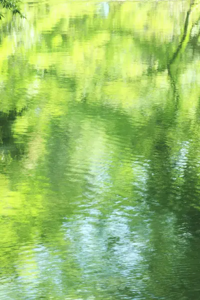 Abstrakcyjna Zielona Woda Tekstura Tło — Zdjęcie stockowe