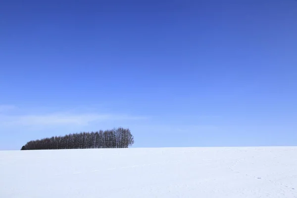 Μοναχικός Χειμερινός Αγρός Στο Βάθος — Φωτογραφία Αρχείου