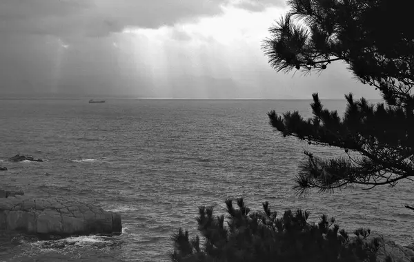 Kayalıklı Denizin Siyah Beyaz Resmi — Stok fotoğraf