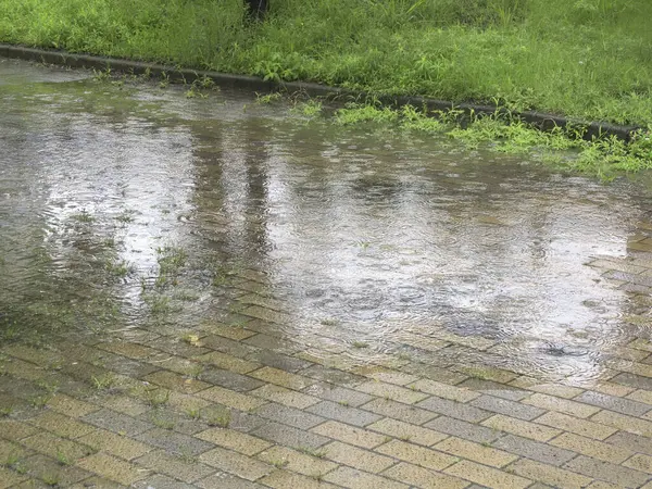 Bahar parkında ıslak patika ve yağmur