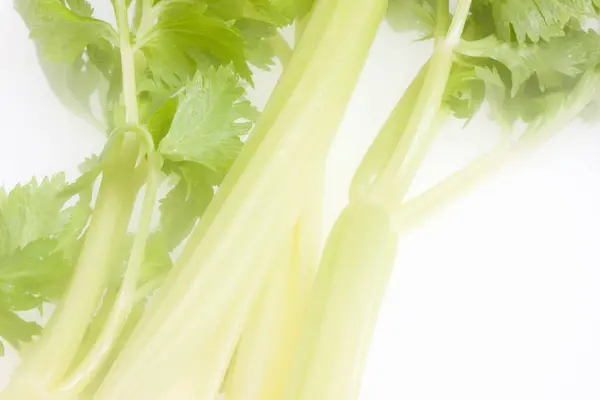 白色背景的新鲜有机芹菜 — 图库照片