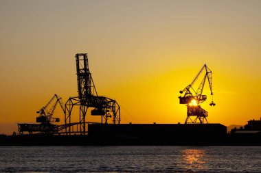 Doğanın arka planında günbatımında siluet vinçler