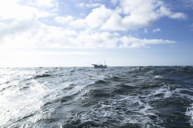 Denizde tekne doğa arka planında