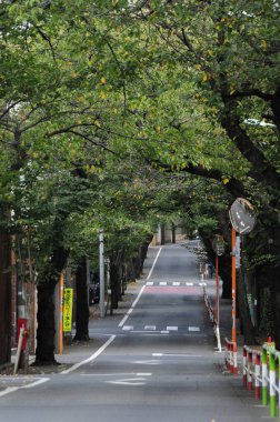 Yeşil ağaçlı güzel şehir manzarası