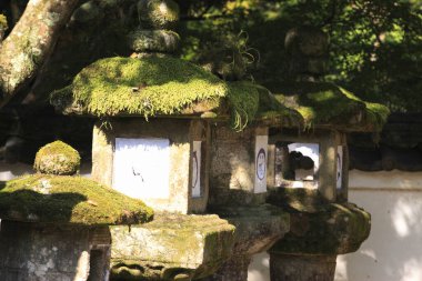  Yosun kaplı Taş Fenerler Duvarın yanında