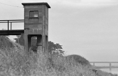 Terk edilmiş kule uzun otların ve patikaların yanında duruyor.