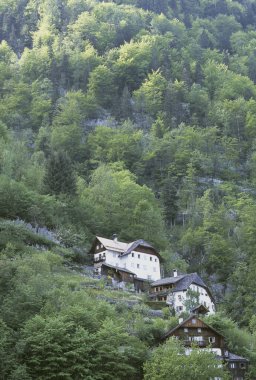 Evleri ve yeşil ağaçları olan dağın manzarası
