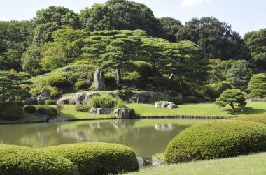 Yeşil ağaçları ve gölü olan güzel bir yaz parkı manzarası.                