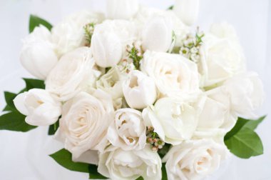 Arka planda güzel beyaz güller, kapatın.