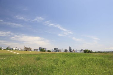 Japonya 'nın Osaka kentindeki yeşil bir parktan şehir merkezindeki yüksek katlı apartmanlar. 