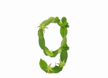 Beyaz arkaplanda yeşil yapraklardan oluşan alfabe. G harfi