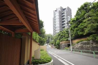 Evlerin ve gökdelenlerin yer aldığı Tokyo silueti