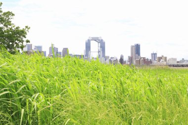 Modern şehir manzarası, şehir