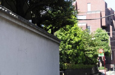 Tokyo 'nun canlı Meguro-ku bölgesinin sokak manzarası, Japonya 