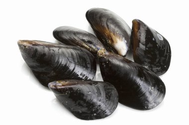 Beyaz arkaplanda yalıtılmış midyeler