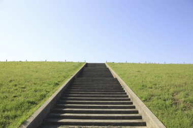 Yeşil çayır ve mavi gökyüzünde merdiven 