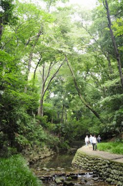Yazın turistlerin olduğu güzel Japon bahçesi.