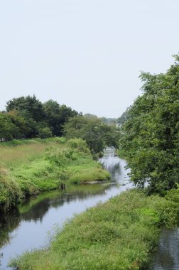 Çin 'de güneşli bir günde güzel yeşil park manzarası 