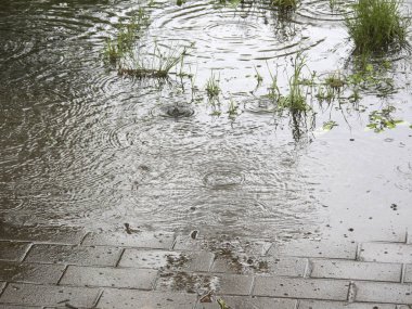 Su birikintisine yağmur damlaları