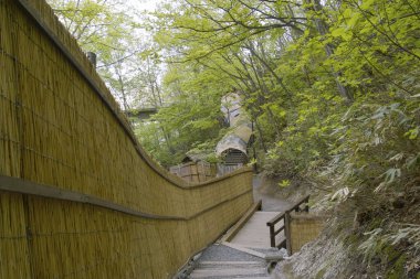 Parktaki tahta köprü. 