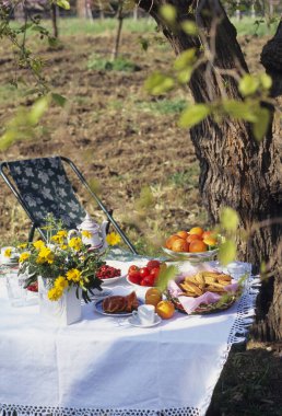 Bahar piknik masası, ağacın altında.