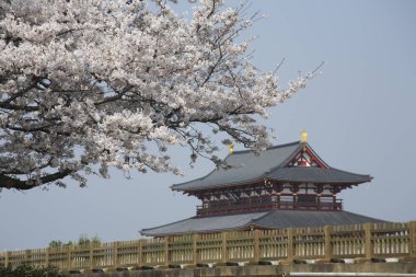 Geleneksel Japon mimarisinin güzel manzarası