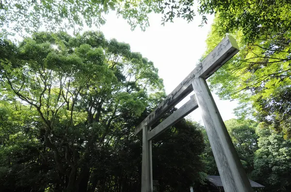Luonnonkaunis Laukaus Kaunis Muinainen Japanilainen Pyhäkkö — kuvapankkivalokuva