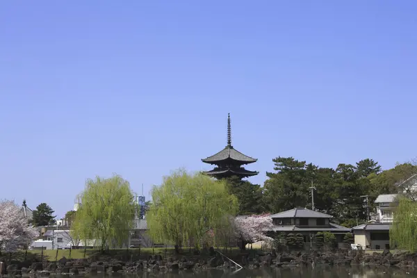 Kofukuji Und Araike Teich Nara Frühling — Stockfoto