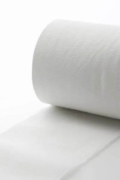 Roll Paper Toilet White Background — Stock Photo, Image