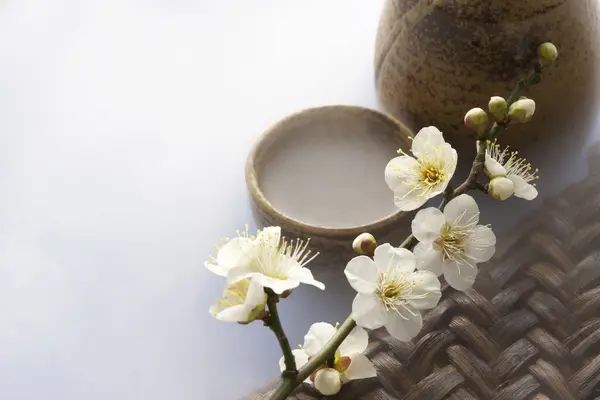 Švestková Větev Kvetoucími Květy Tradičním Japonským Pohárem Saké — Stock fotografie