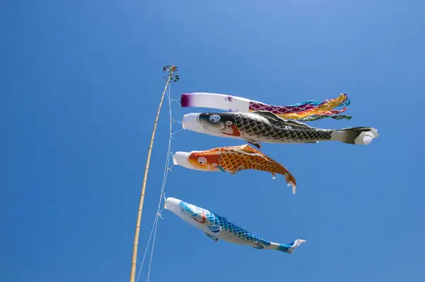 日本天空中的空气鱼风袜 — 图库照片