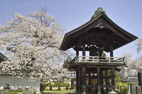 美丽的日本古代神龛的风景画 — 图库照片