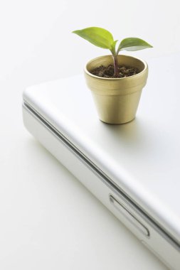 Arka planda ot olan dizüstü bilgisayar, kapat