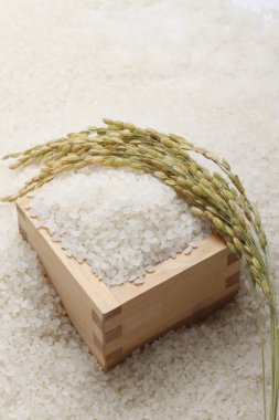 white rice in wooden box on background, close up