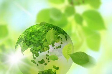 Taze yeşil ağaç yaprakları ve şeffaf küre